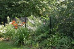 Black-Chain-Link-No-Top-Rail_05