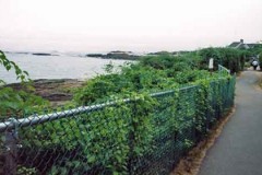 Galvanized-Chain-Link_02