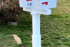Dual-Mail-Box-Posts
