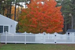 Vinyl-Scalloped-Capped-Berkshire-Picket-with-Gate_03