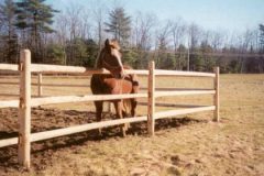 3-Rail-Scarf-End-White-Cedar-Post-and-Rail_01