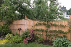 Scalloped-Solid-Stockade-Picket-Fence_02